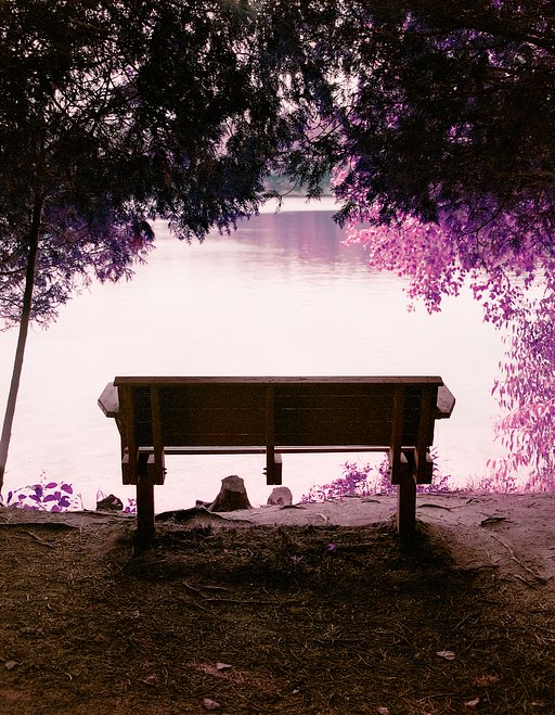 【LomoChrome Purple 120】探索美國攝影師 Danielle Wrobleski 的全新紫調視角