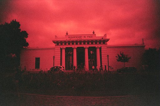 Rollei Nightbird (35mm, 800iso): Your Photos Drenched in Wine
