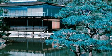 An Alternative Universe: Kyoto In LomoChrome Turquoise 
