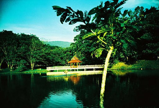 馬來西亞 霹靂州 太平湖公園 (Taiping Lake Garden, Perak, Malaysia)