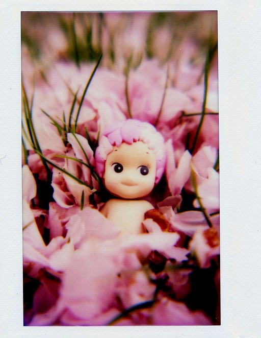 Creative Adventures with the Lomo'Instant Wide by Candeeland