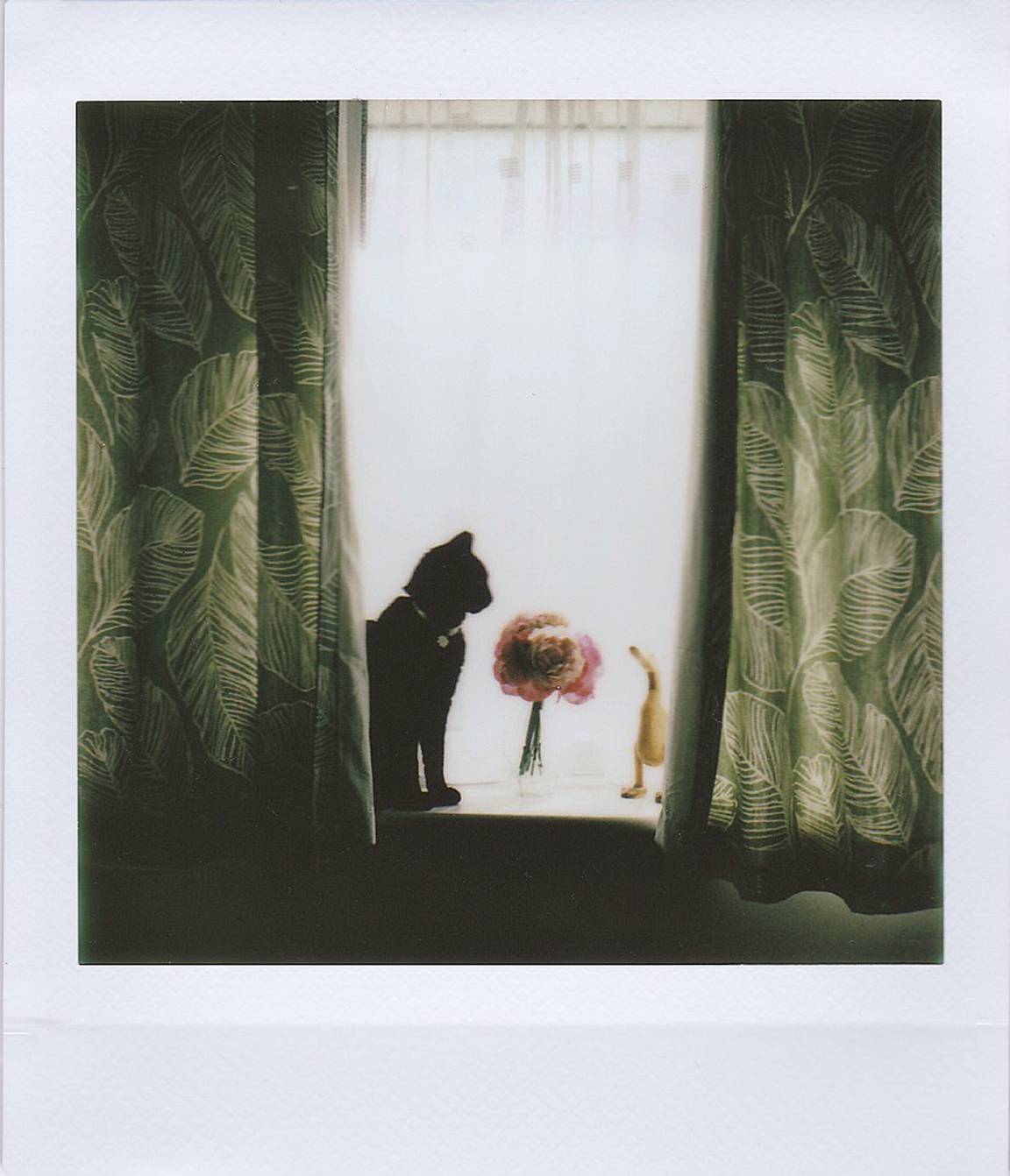 Lisafot is our LomoHome of the Day!