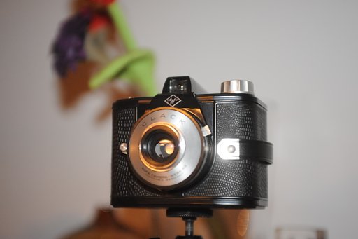 Die Agfa Clack: Eine echte Vintage-Kamera