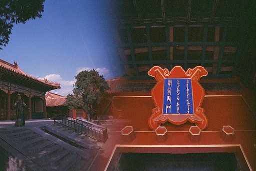 Community Member Color Captures the Forbidden City With the Diana F+ and LC-Wide