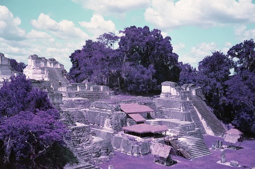 Around the World in Analogue: Nature and Ancient Ruins of Guatemala in Purple