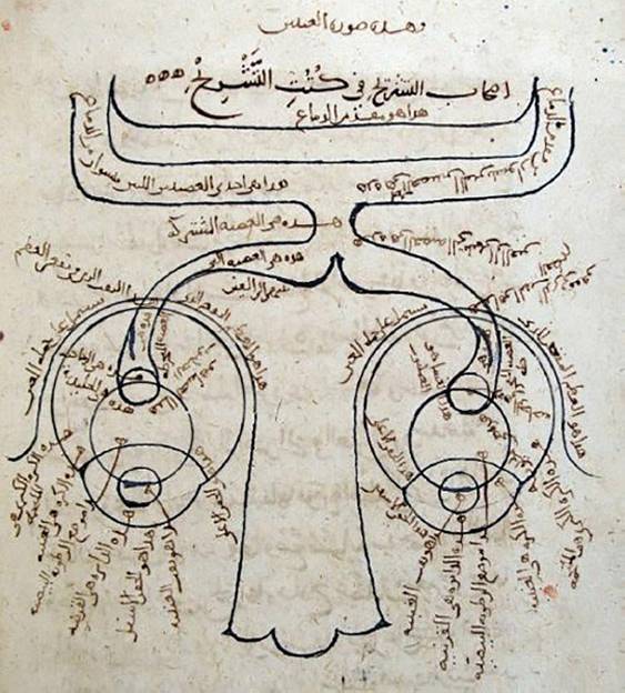 Ḥasan Ibn al-Haytham: Der Vater der modernen Optik 