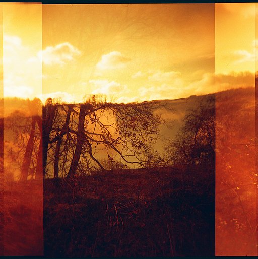 Suffolk Landscapes in Analogue with Amy Marie Gladding