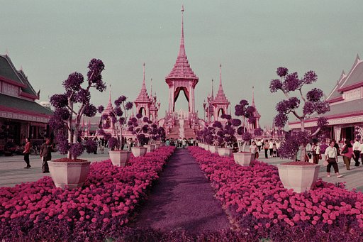 Kevin McElvaney Paints Bangkok in Ultra Violet with the LomoChrome Purple