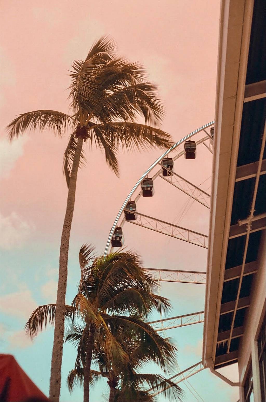 Around the World in Analogue: A Paradise in Miami