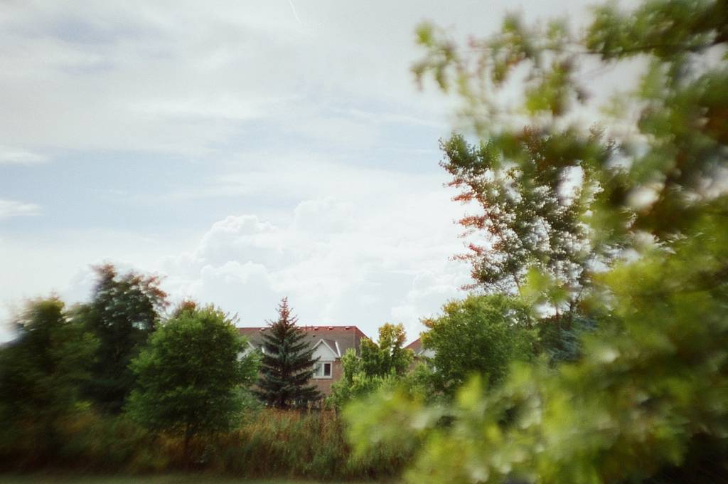 @frontoparietal's Peaceful Environmental Photography Using the Petzval 80.5