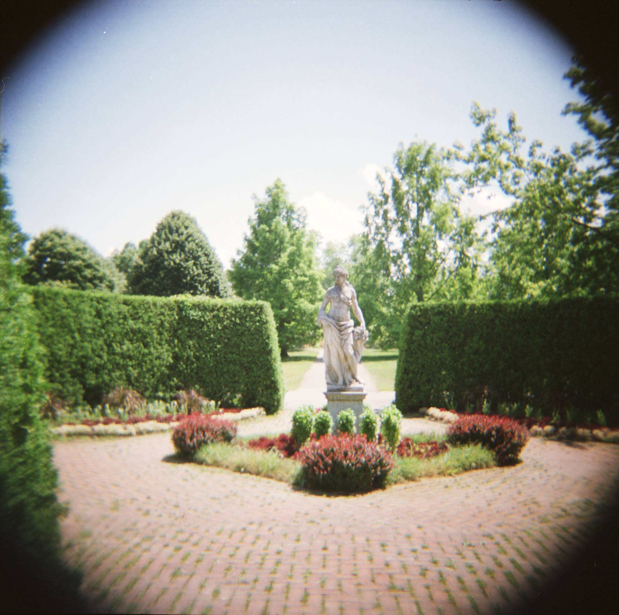 Toledo Botanical Gardens 0live Lomography