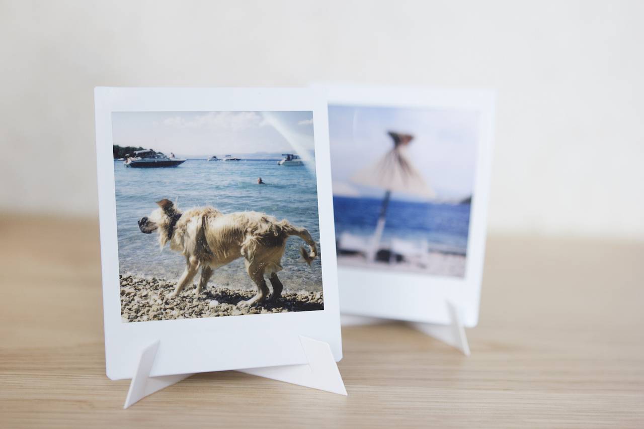 Photo stand and photo clips are included for creating fun instant photo displays.