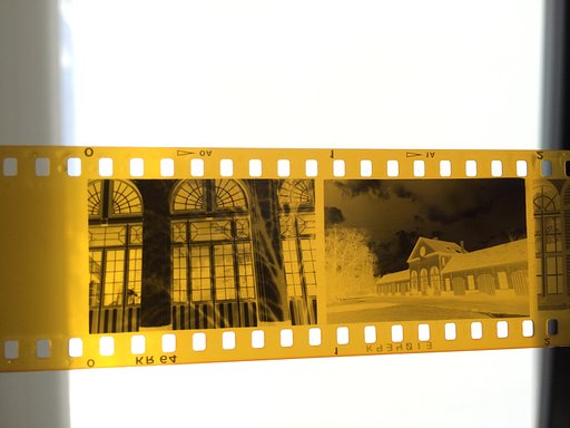 Lomo Experiments: Bluescale Your Old Kodachrome 64 Stash!