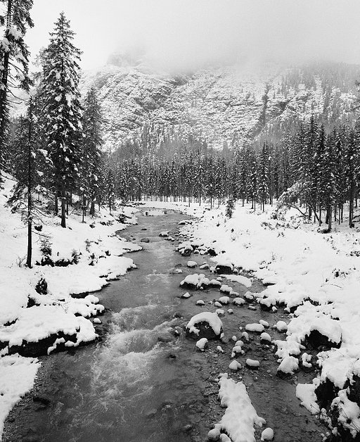 Channeling Ansel Adams: A Visual Composition Gallery