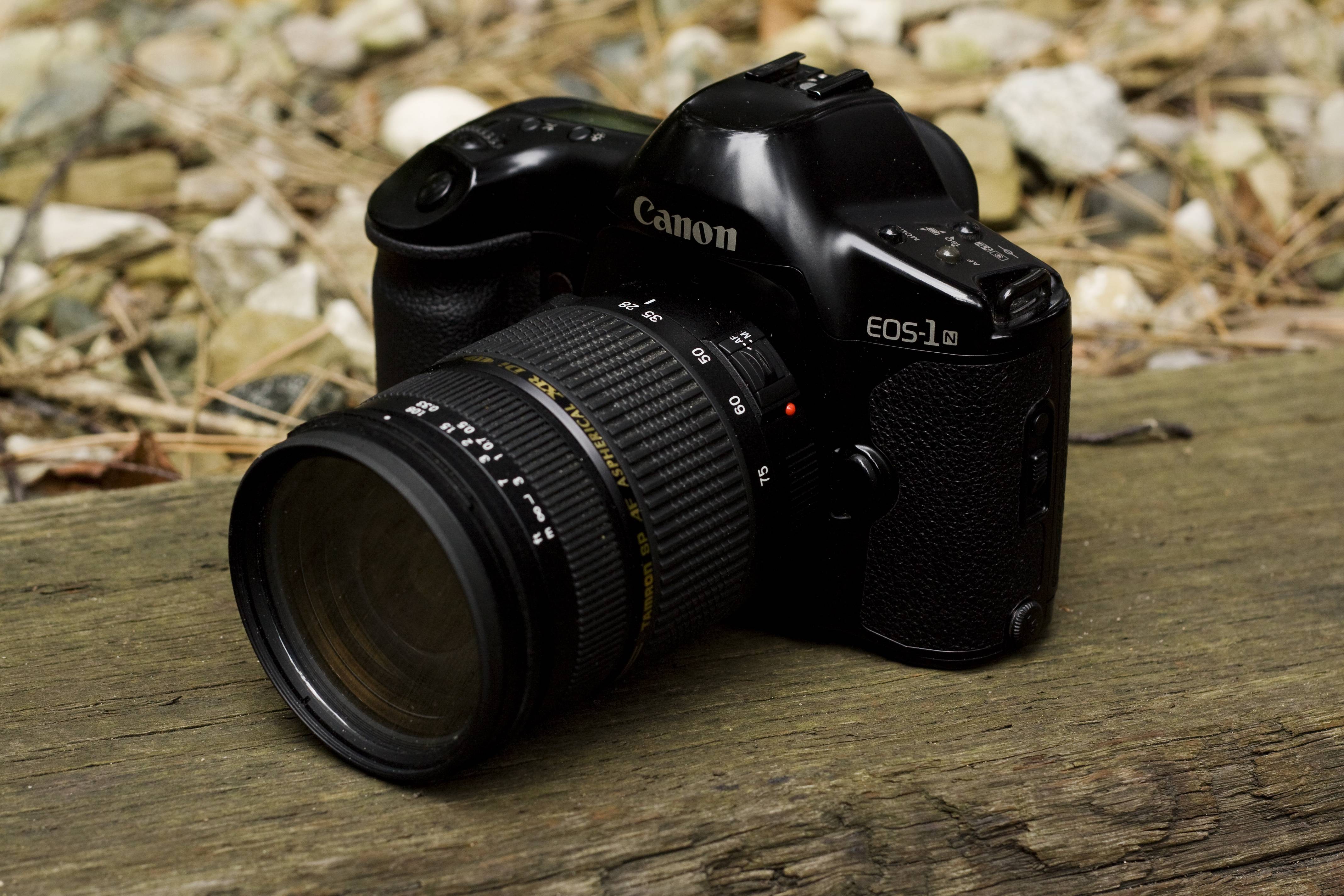 11725円 2021人気の キャノン Canon EOS-1N