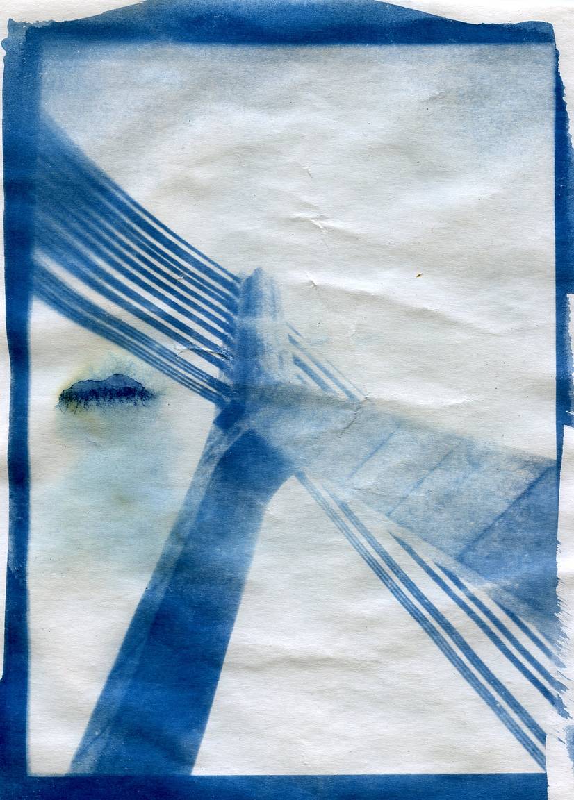 Cyanotype Print Tote Bag 1 - Masha Lamzina